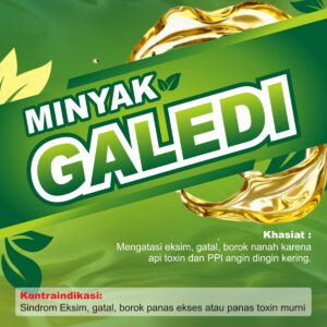 GALEDI